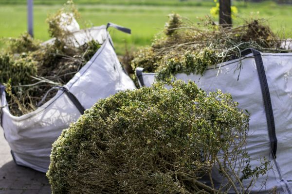 Cost of Shrub Removal Service in San Rafael