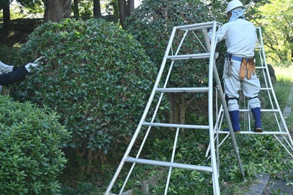 Holly Shaping in San Rafael