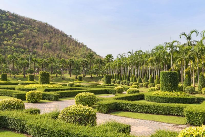 Landscape with Maintained Shrubs