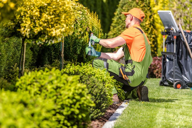 Experienced Landscaping Teams